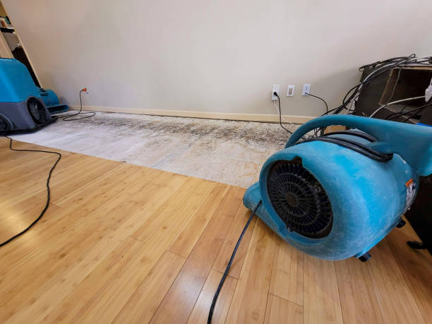 Professional Water Removal technician working in Englishtown, NJ